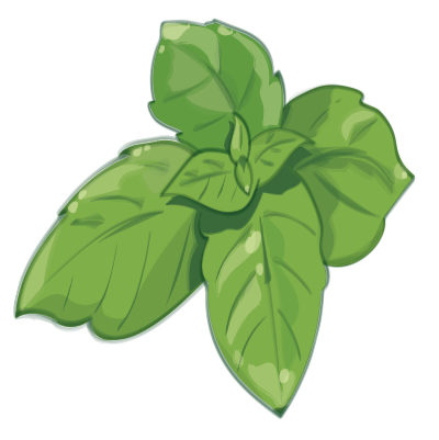 Basilic Basilic